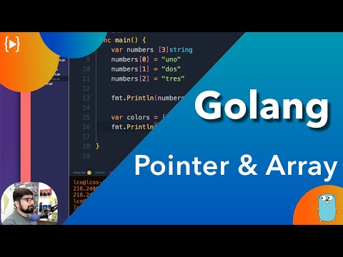 How to get started with golang Go programming language