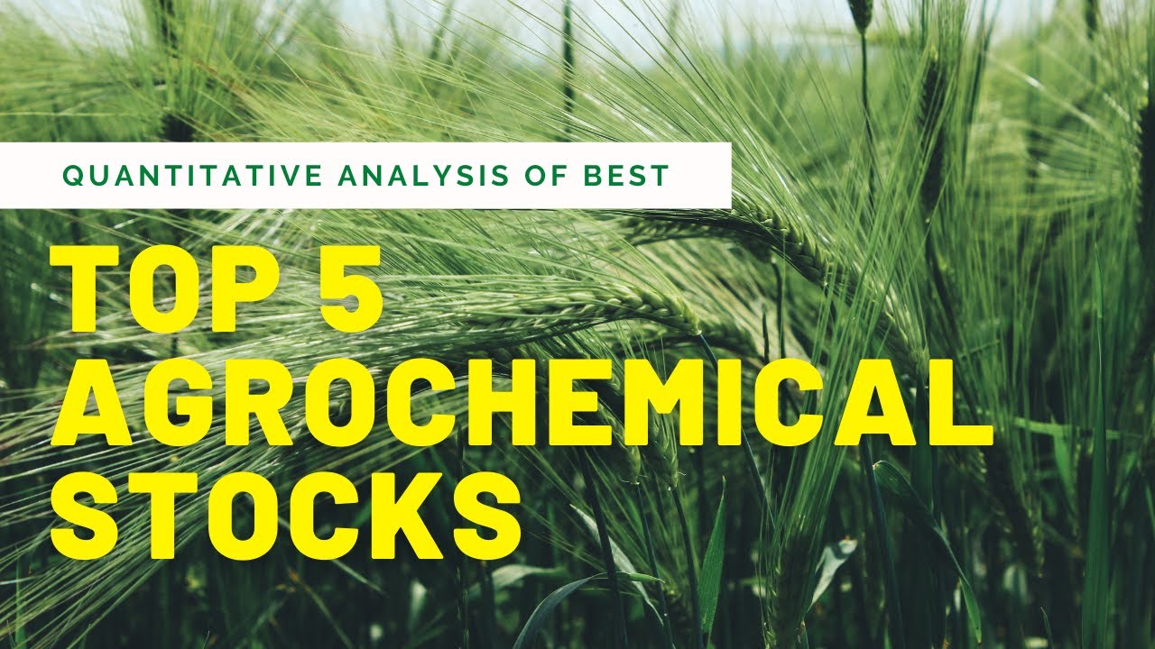 Top 5 Agrochemical Stocks│PI Industries vs Sumitomo Chem vs Bayer Crop vs UPL vs Coromandel Int.