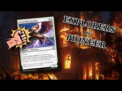 Stop Hitting Yourself! - Capridor Self Damage Deck - Explorers of Pioneer