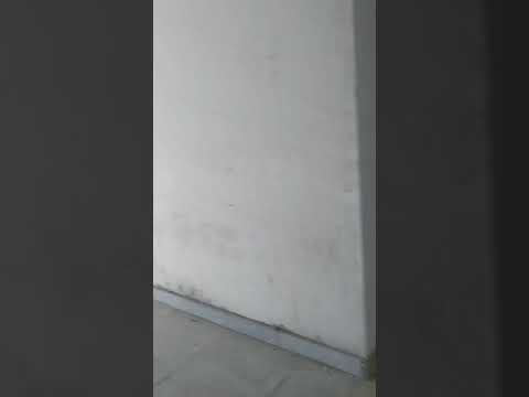 Walkthrough Walkthrough