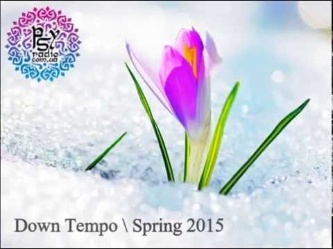 Choop project - DT Spring mix 2015