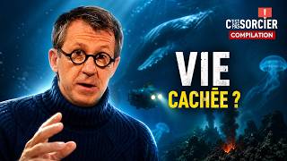 Comment la Mer Morte s'est transformée ? - C'est pas sorcier
