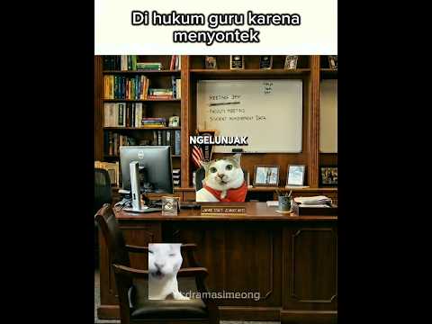 Akibat curang 😂 #kucinglucu #kucing #viral #memekucing