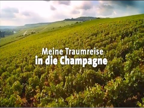 VENDANGES CHAMPAGNE DANIEL ETIENNE (2016)