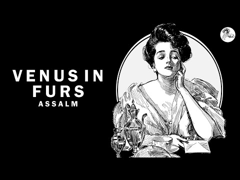Assalm - Venus in Furs