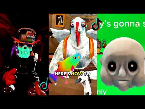Animal Company 🚨🤡  (just) W Compilation