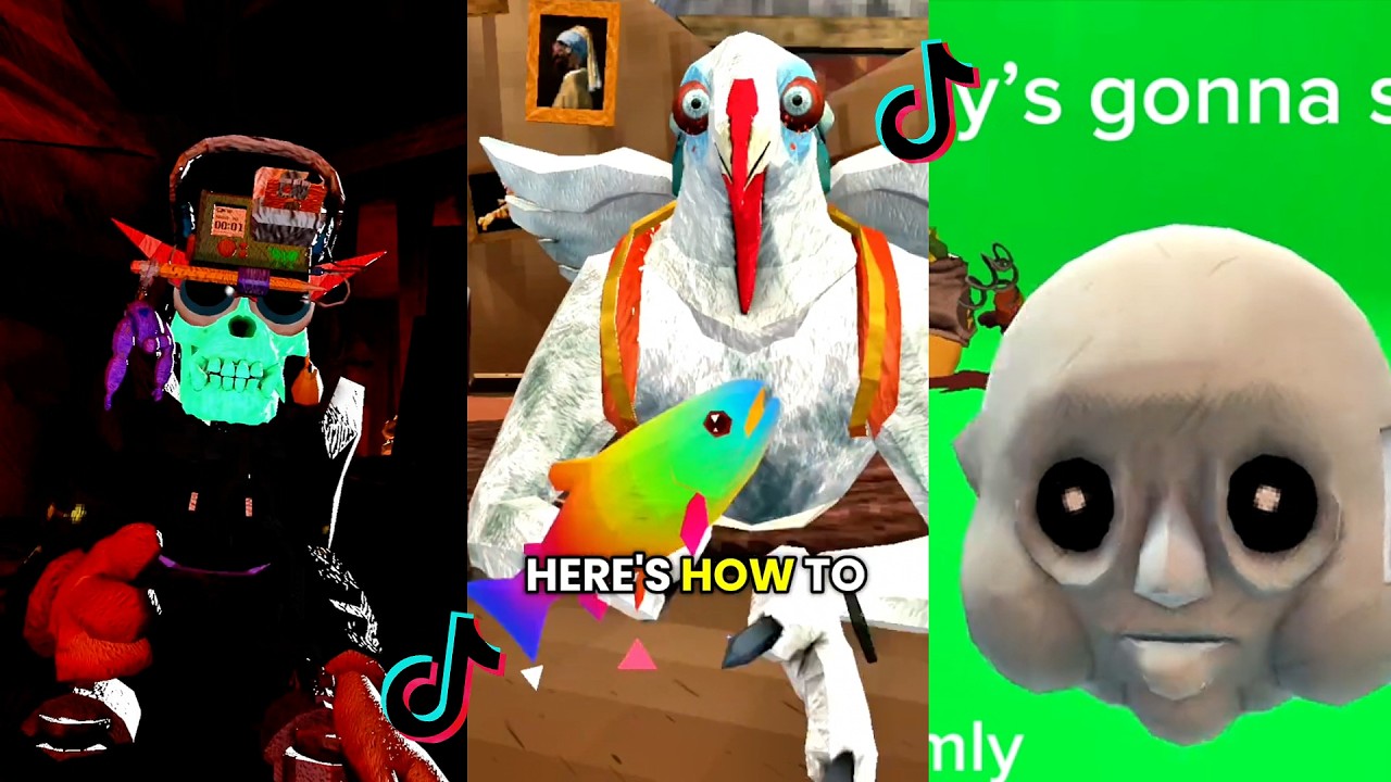 Animal Company 🚨🤡  (just) W Compilation