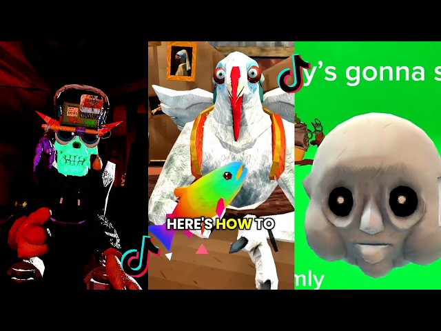 Animal Company 🚨🤡  (just) W Compilation