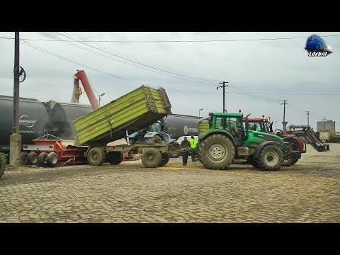 Tractoare la Incarcat Porumb/Tractors Loading Maize in Gara Episcopia Bihor Station 24 November 2018