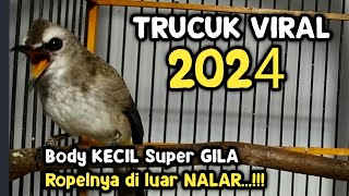 Download lagu VIRAL di TikTok Trucukan GACOR KONSLET tanpa doping ‼️SIMBAR JATI mp3 Download lagu VIRAL di TikTok Trucukan GACOR KONSLET tanpa doping ‼️SIMBAR JATI mp3