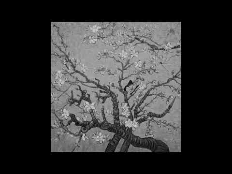 JVCK - golden hour (HARDSTYLE N-Expected EDIT)