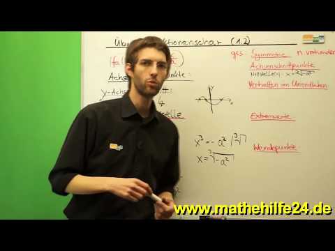 Kurvenschar Funktionenschar Achsenschnittpunkte Nullstellen 1.2