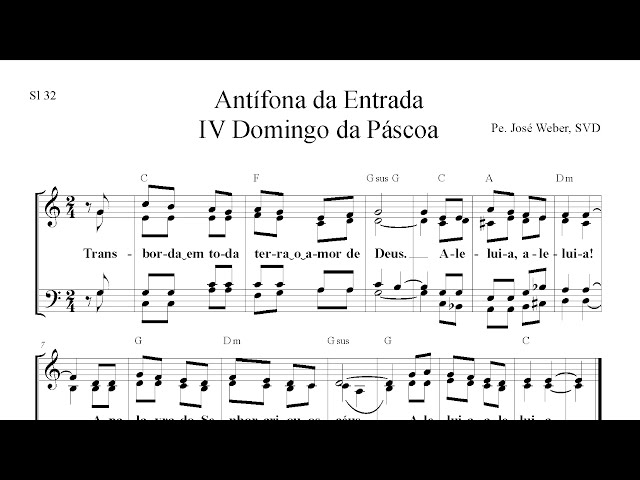Preview do vídeo