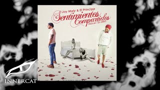 Jay Maly x El Principe - Sentimientos Compartidos (Audio Oficial)