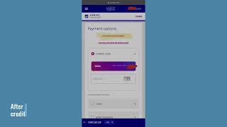 How to use Wizz credit