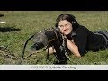 100 Seconds Of 100 WWI Firearms
