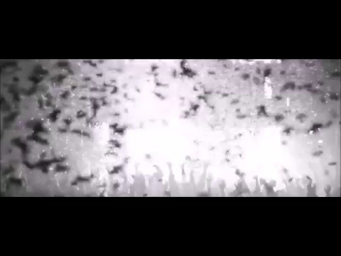 Dj Xquizit & Enfortro Feat. Tim Hilberts - You Say Forever (Bigtopo Remix )