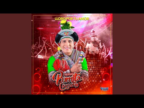 No Me Dejes Solo - Pumita Cazador