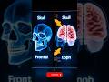 Can X Rays Show Your Brain Shorts