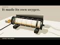 The Fire That Brought Its Own Oxygen | ValuJet 592