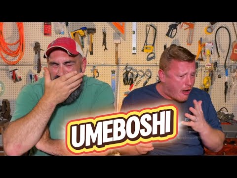 Trying Umeboshi! (Salted Japanese Plums)