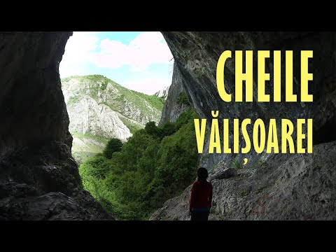 Munții Trascău | Drumeție Ușoară în Cheile Vălișoarei (Circuitul Aidului)