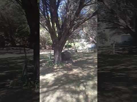 Finca Lomas Blancas Sanagasta La Rioja Argentina