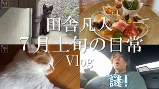 【Vlog】いなかぼん、７月上旬の日常Vlog
