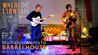 Mama Just Wants to Barrelhouse All Night Long (Bruce Cockburn Cover)  | James Meadow