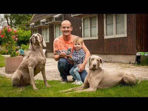 National winners ZLU 2018 - Pau: Jurrian van Amerongen (with english subtitles)