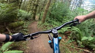 Ewe Tube - Lord Hill - Snohomish - Washington