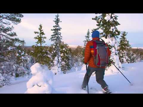 Skinbased Skiing Techniques: Telemark Turn