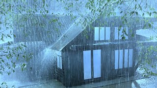 Gradually Into a Deep Sleep with Extremely Strong Rain & Thunder Resounding on the Wild Forest Farm