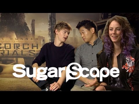 The Scorch Trials cast take the Sugarscape Zombie Invasion Survival Test