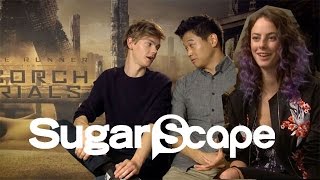 The Scorch Trials cast take the Sugarscape Zombie Invasion Survival Test