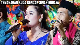 Download lagu Temangan malam kuda kencak sinar budaya pimp: H.masir alamat jabun bantaran probolinggo mp3 Download lagu Temangan malam kuda kencak sinar budaya pimp: H.masir alamat jabun bantaran probolinggo mp3