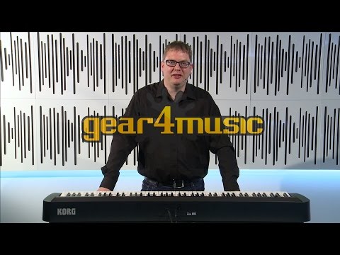 B1 Korg תמונה 2