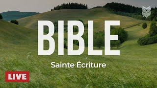 BibleVision Français 🔴 Lecture Continue de la Bible - Parole de Dieu Jour et Nuit