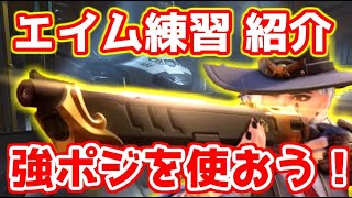【オーバーウォッチ】強ポジで有利な立ち回り！新エイム練習コード紹介  アッシュ編【Overwatch】