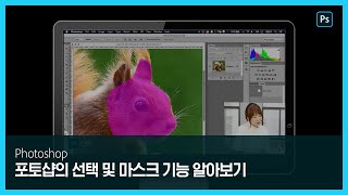 [포토샵] 더욱 쉽고 편리해진 포토샵의 선택 및 마스크 기능 알아보기