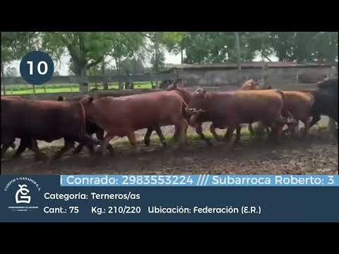 Lote M Y H - Federación ER