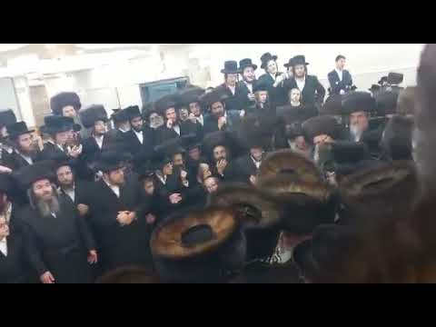 Sanzer Rebbe Dances At His Great Nephew's Wedding - Cheshvan 5783