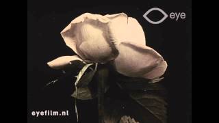 Fleurs des champs