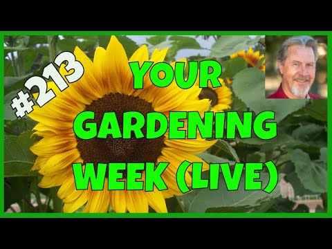 Gardening Tips to Avoid (Q&A)