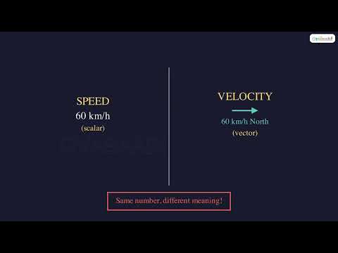 Scalars vs Vectors: What's the Difference?