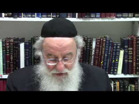 Rabbi Yehonason Alpren - Avraham Ha'Ivry   From The Other Side Part 1