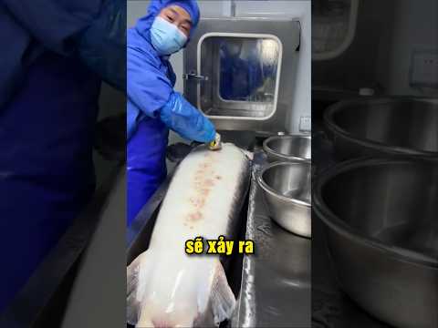 Điều gì xảy ra với cá tầm sau khi trứng cá được thu hoạch?