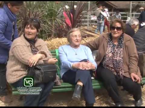 Anuncio Fiesta de la Tradición y 8º Encuentro del Carruaje   Remate de Cabaña La Virtuosa 2016