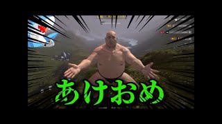 【あけおめ】新年からお相撲さんになって石を当てるゲームするよ！【punch】
