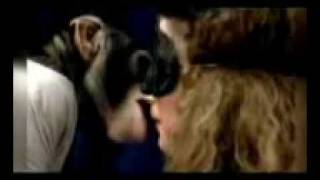Monkey So funny kisses
